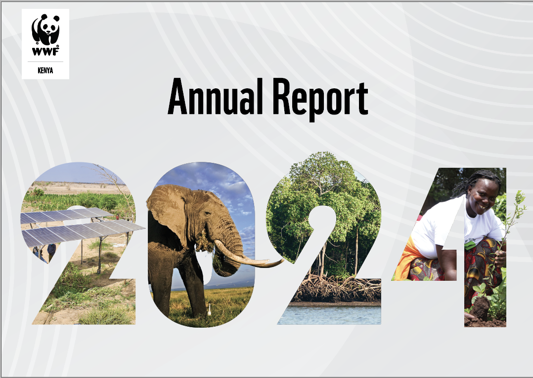 Annual Report 2020